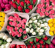 Цветы на 8 марта Хабаровск
