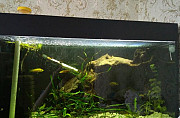 Готовый аквариум Тихорецк