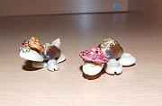 Сувениры в виде черепашек из ракушек Рубцовск