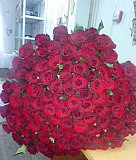 101 роза сорта Ред Наоми 70 см (Доставка цветов) Ставрополь