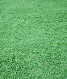 Трава искусственная покрытие ковролин Краснодар