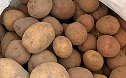 Продам картофель домашний, морковь, капусту, тыкву Хабаровск