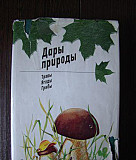 Книга о грибах, травах и ягодах "Дары природы" Москва