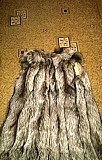 Продам мех чернобурой лисы(для пошива,б/у) Мурманск