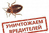 Дезинсекция-уничтожение клопов, тараканов и др. на Нижнекамск