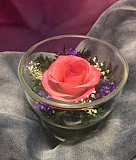 Розовая роза mini Пермь