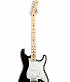 Fender standard stratocaster MN black tint Симферополь