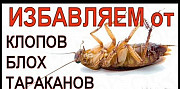 Уничтожение тараканов клопов муравьев Балаково
