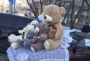 Плюшевые медведи для вашей любимой Красноярск