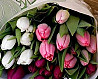 Тюльпаны на 8 марта Тверь