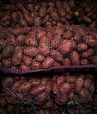 Картофель красный, сорт «Розара» Новосибирск