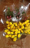 Продаю тюльпаны к 8 марта Нижний Новгород