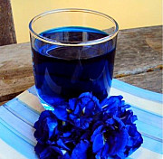Синий чай оптом и в розницу Краснодар