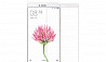 Защитное стекло 3D для Xiaomi Mi Max 2 на полный э Москва