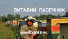Пчёлы,улья с семьями пчел Красноярск
