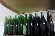 Бутылки из под шампанского Волгоград