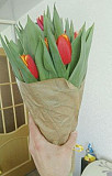 Тюльпаны Иваново