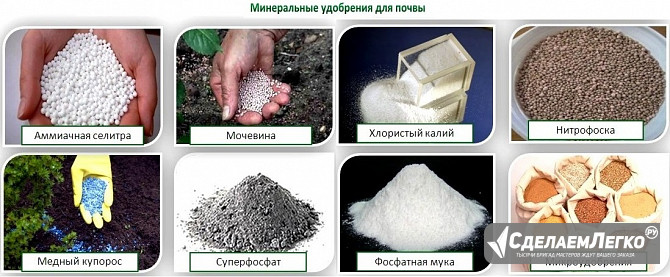 Закупаем калийные удобрения Новосибирск - изображение 1