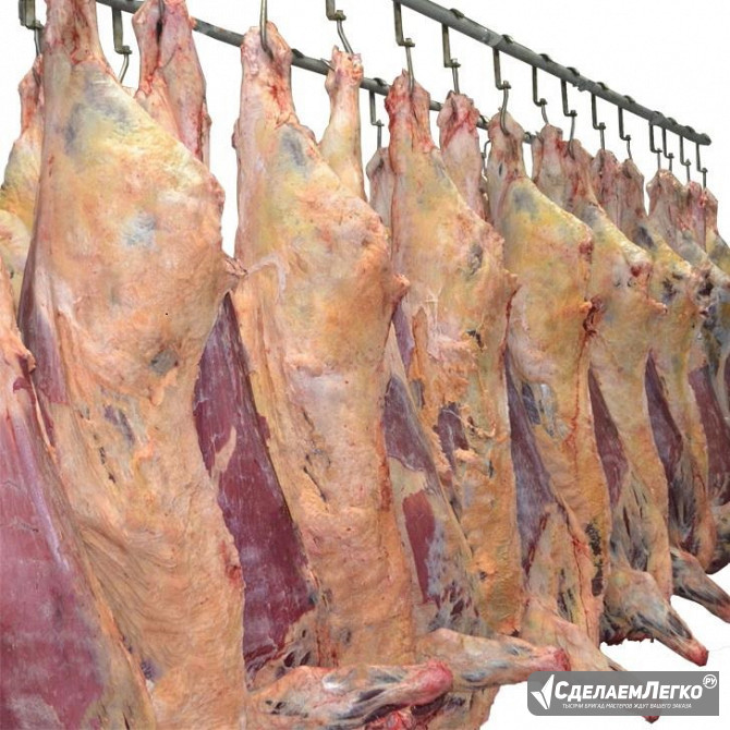 Мясо говядина, свинина, цыпленка бройлера собствен Смоленск - изображение 1