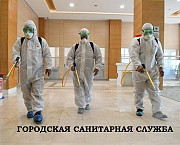 Уничтожение тараканов клопов Москва