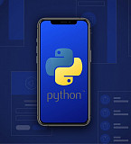 Курс по разработке приложений на языке Python Москва