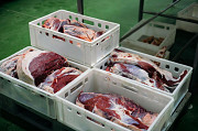 Производство говядины, свинины. Продажа оптом мясо Москва