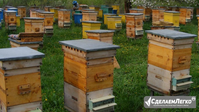 Готовый состав для обработки пчелиных ульев на основе нафтената меди Красноярск - изображение 1