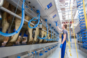 продажа доильного оборудования для молочных ферм Смоленск