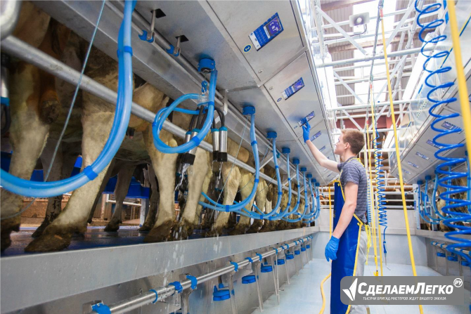 продажа доильного оборудования для молочных ферм Смоленск - изображение 1