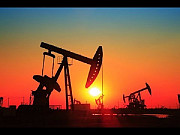 Продажа промышленного оборудования для очистки нефти и нефтешламов от Molniya в Краснодаре Краснодар