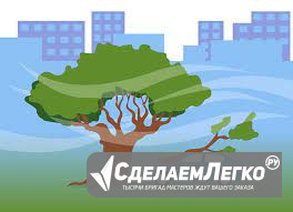 Услуги юриста при возмещении ущерба от упавшего дерева во Владивостоке Владивосток - изображение 1