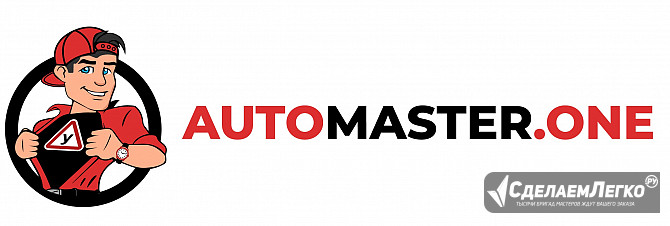 Дублирующие педали для учебного авто от производителя AutoMaster Тюмень - изображение 1