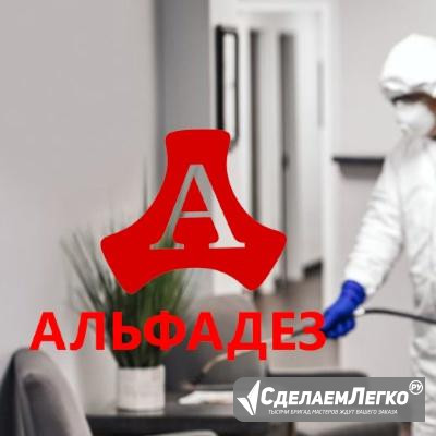 Уничтожение клещей,комаров Саратов - изображение 1