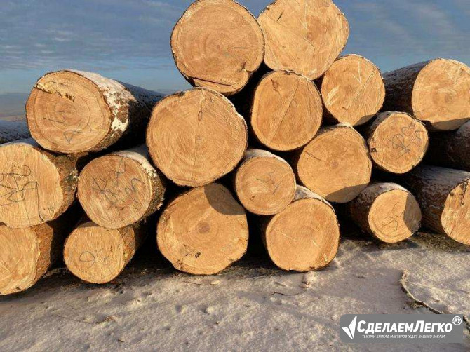 Кедр, лиственница, хвоя, береза продажа оптом. Лесосибирск - изображение 1