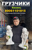 Грузчики на час Казань