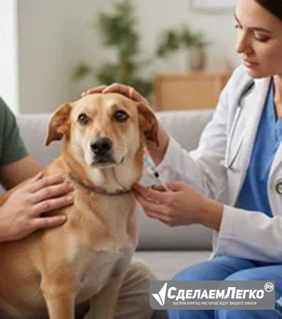 Выезд ветеринара на дом Москва - изображение 1