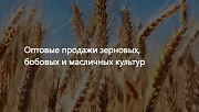 ООО Агропром - оптовая реализация продуктов питания экспорт Москва