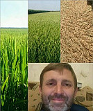 Поливальщик рисовых чеков, помощник агронома. Агро Славянск-на-Кубани