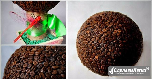 Кофейное дерево Красноярск - изображение 1