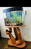 Продаётся аквариум+подставка Тольятти