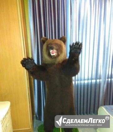 Чучело медведя Березники - изображение 1