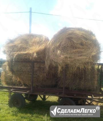 Сено в тюках Азнакаево - изображение 1