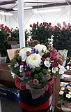 Цветочные корзины.Свадебные букеты Батайск