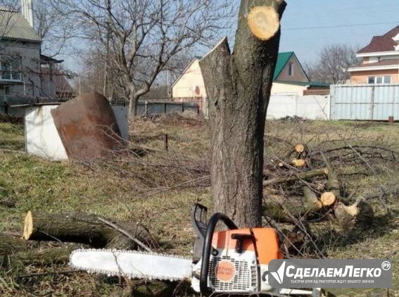 Спил, обрезка деревьев Волжский - изображение 1