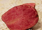 Картофель с цветной мякотью (фиолетовый / красный) Кемерово