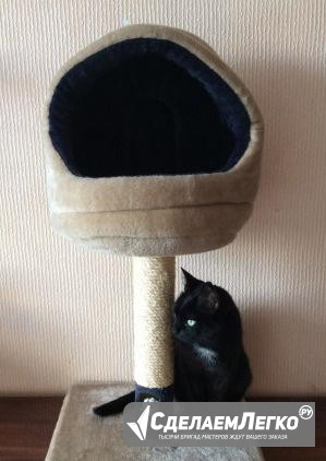 Домик для кошки Бор - изображение 1