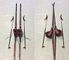 Комплект лыж Barados Act. 190см(креп+ палки+ бот) Тольятти