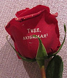 Декоративный флористический 3D лак для цветов Ачинск