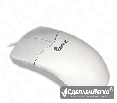 Мышь EasyMouse Pro PS/2 Воронеж - изображение 1