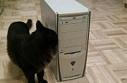 Pentium 4 / s775 / 1Gb / 40 Gb (без видеокарты) Казань